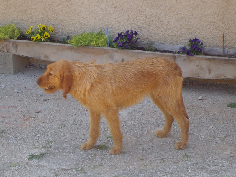 Ura De lequipage las fargues