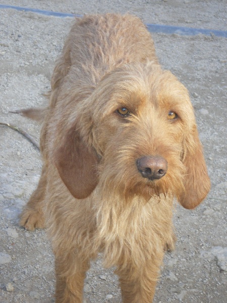 Chocolat De l equipage las fargues