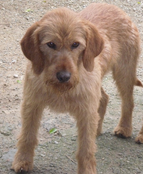 Schoubert De park ar rhun